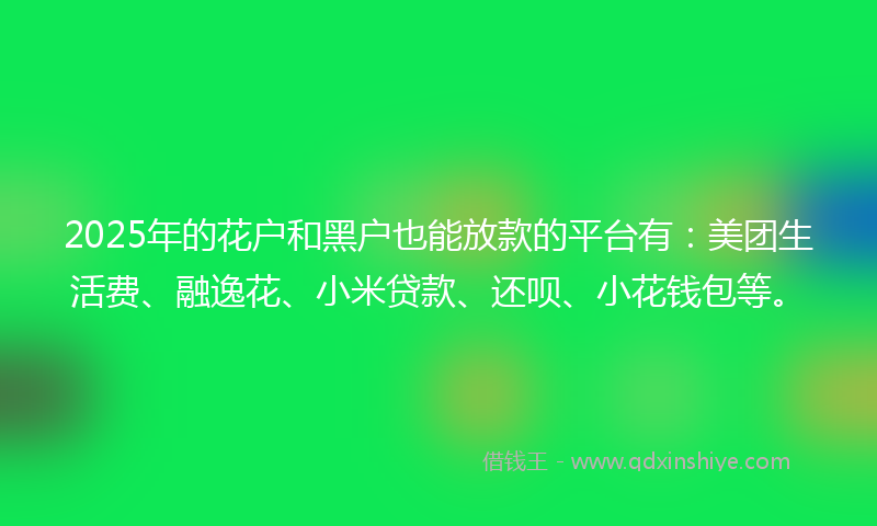 2025年的花户和黑户也能放款的平台有：美团生活费、融逸花、小米贷款、还呗、小花钱包等。