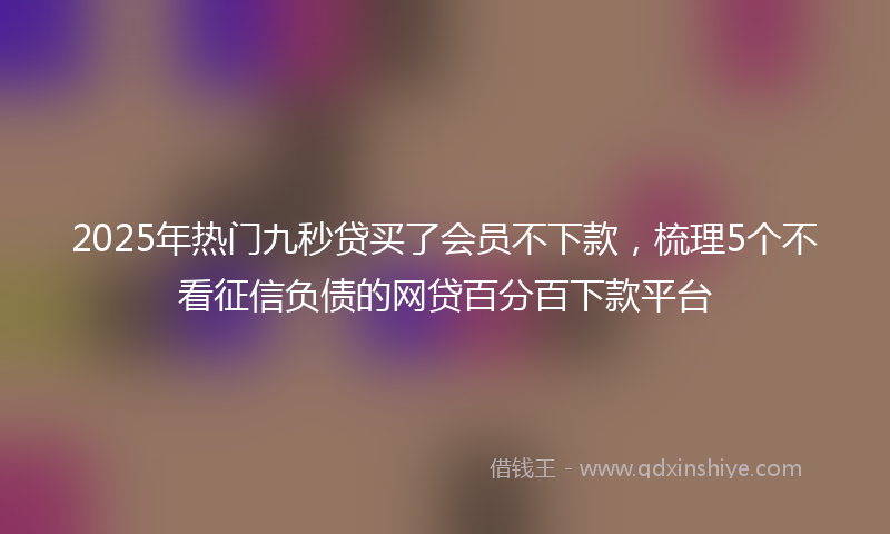 2025年热门九秒贷买了会员不下款，梳理5个不看征信负债的网贷百分百下款平台