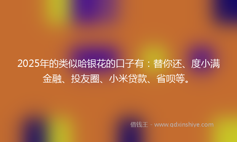 2025年的类似哈银花的口子有：替你还、度小满金融、投友圈、小米贷款、省呗等。