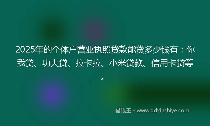 2025年的个体户营业执照贷款能贷多少钱有：你我贷、功夫贷、拉卡拉、小米贷款、信用卡贷等。