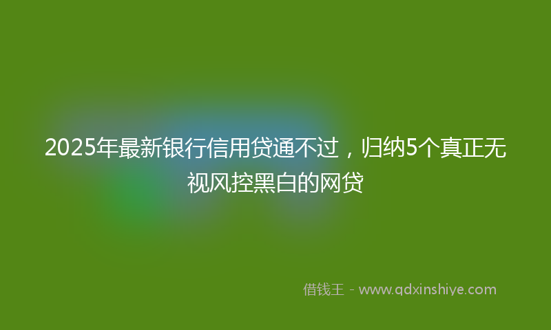 2025年最新银行信用贷通不过，归纳5个真正无视风控黑白的网贷