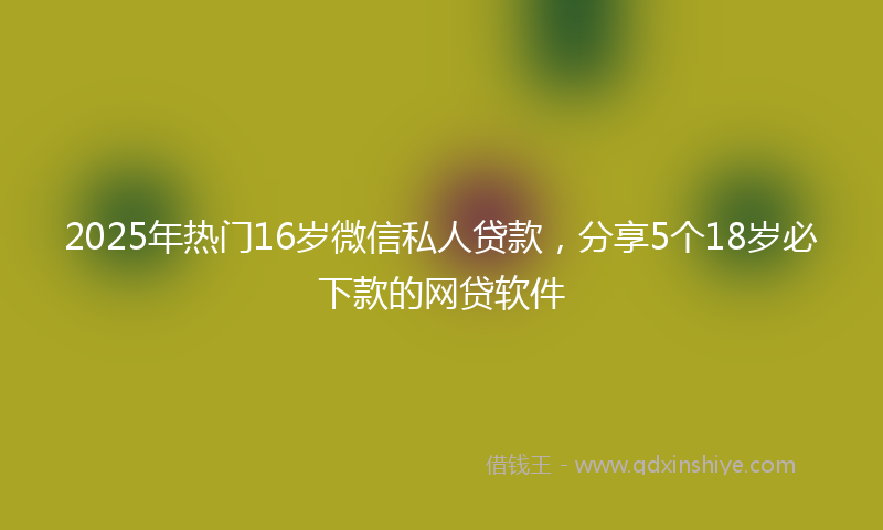 2025年热门16岁微信私人贷款，分享5个18岁必下款的网贷软件
