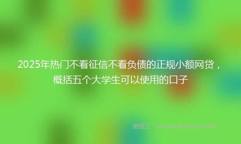 2025年热门不看征信不看负债的正规小额网贷，概括五个大学生可以使用的口子