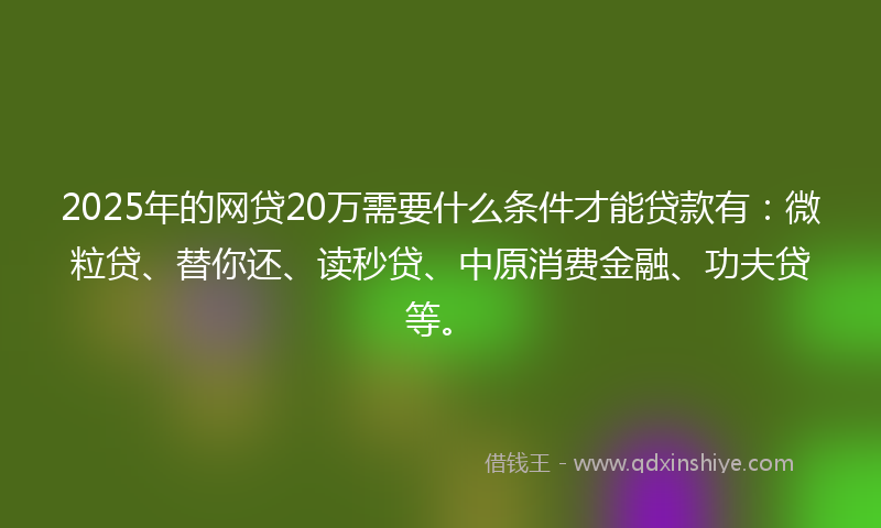2025年的网贷20万需要什么条件才能贷款有：微粒贷、替你还、读秒贷、中原消费金融、功夫贷等。