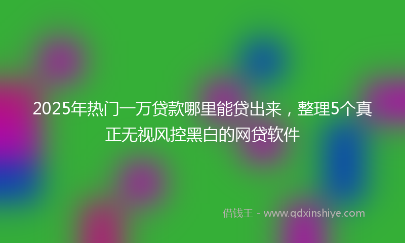 2025年热门一万贷款哪里能贷出来，整理5个真正无视风控黑白的网贷软件