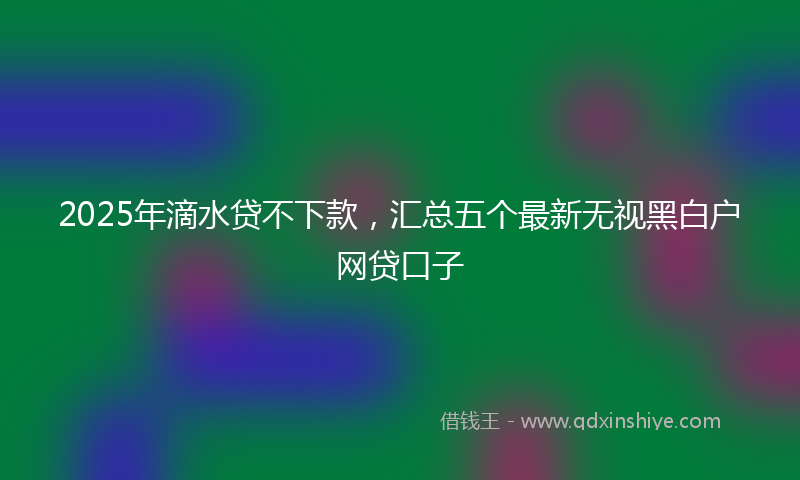2025年滴水贷不下款，汇总五个最新无视黑白户网贷口子