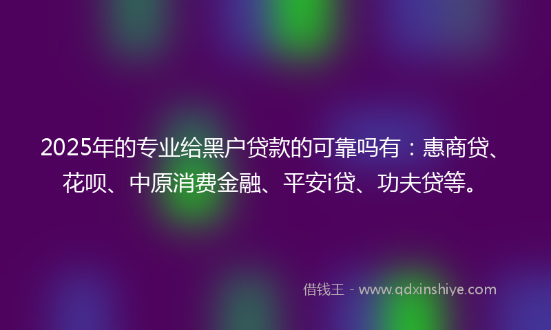 2025年的专业给黑户贷款的可靠吗有：惠商贷、花呗、中原消费金融、平安i贷、功夫贷等。