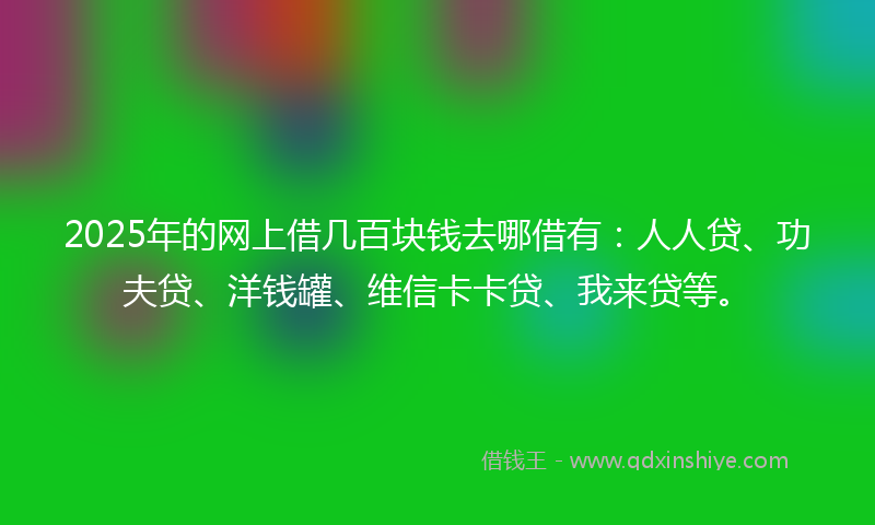 2025年的网上借几百块钱去哪借有：人人贷、功夫贷、洋钱罐、维信卡卡贷、我来贷等。