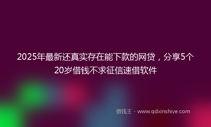 2025年最新还真实存在能下款的网贷，分享5个20岁借钱不求征信速借软件
