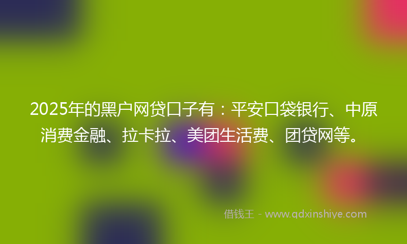 2025年的黑户网贷口子有：平安口袋银行、中原消费金融、拉卡拉、美团生活费、团贷网等。