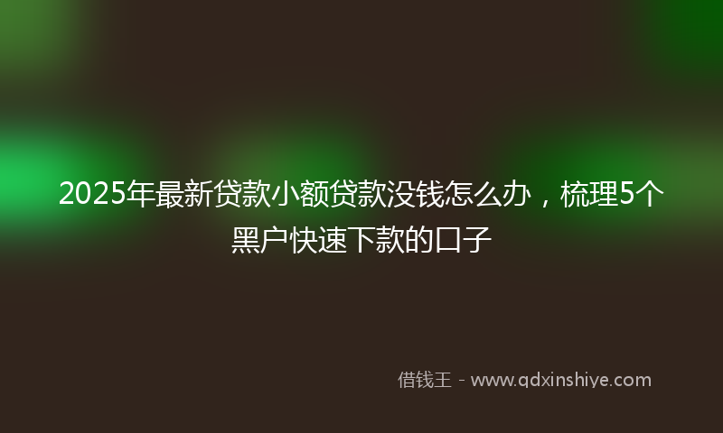 2025年最新贷款小额贷款没钱怎么办，梳理5个黑户快速下款的口子
