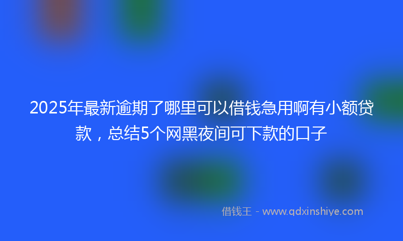 2025年最新逾期了哪里可以借钱急用啊有小额贷款,总结5个网黑夜间可下款的口子