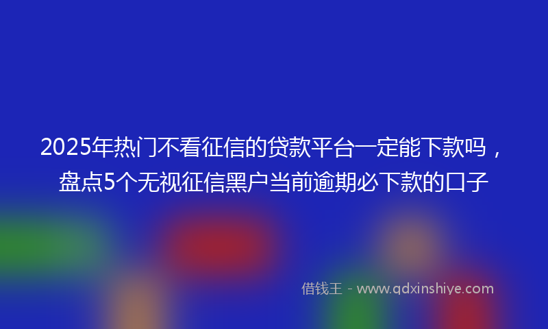 2025年热门不看征信的贷款平台一定能下款吗，盘点5个无视征信黑户当前逾期必下款的口子