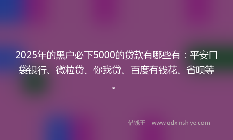2025年的黑户必下5000的贷款有哪些有：平安口袋银行、微粒贷、你我贷、百度有钱花、省呗等。