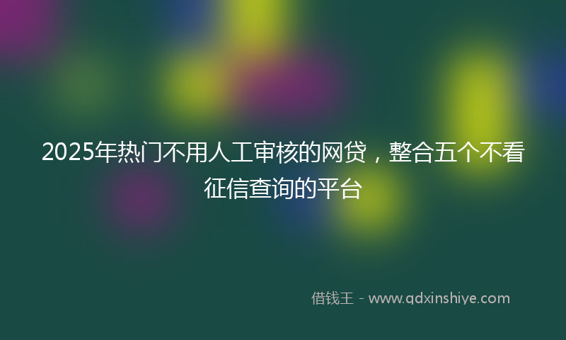 2025年热门不用人工审核的网贷，整合五个不看征信查询的平台
