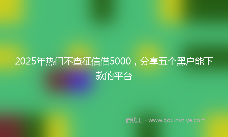2025年热门不查征信借5000，分享五个黑户能下款的平台
