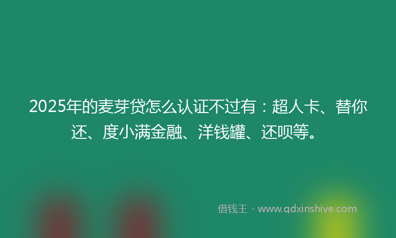 2025年的麦芽贷怎么认证不过有：超人卡、替你还、度小满金融、洋钱罐、还呗等。