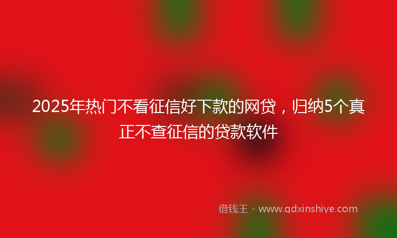 2025年热门不看征信好下款的网贷，归纳5个真正不查征信的贷款软件