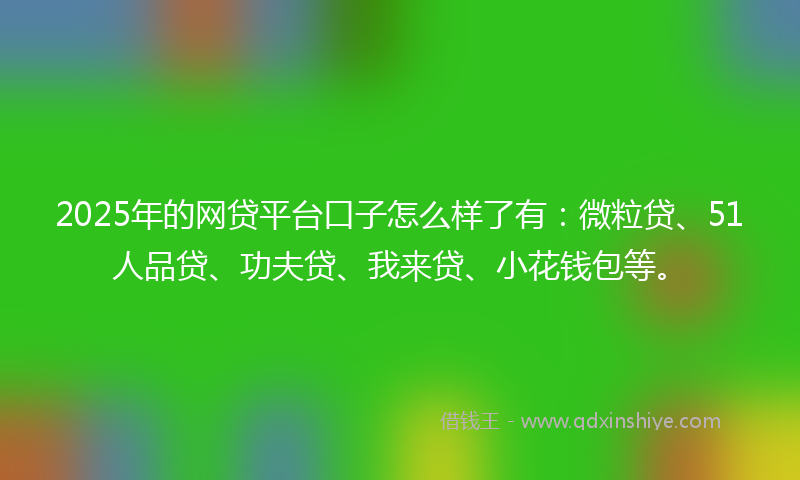 2025年的网贷平台口子怎么样了有：微粒贷、51人品贷、功夫贷、我来贷、小花钱包等。