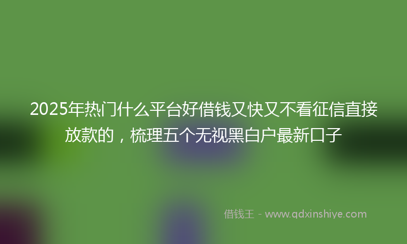 2025年热门什么平台好借钱又快又不看征信直接放款的，梳理五个无视黑白户最新口子
