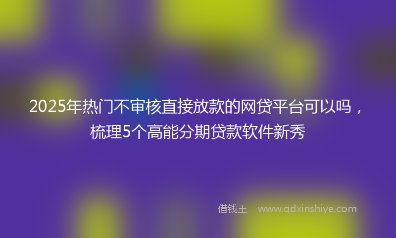 2025年热门不审核直接放款的网贷平台可以吗，梳理5个高能分期贷款软件新秀