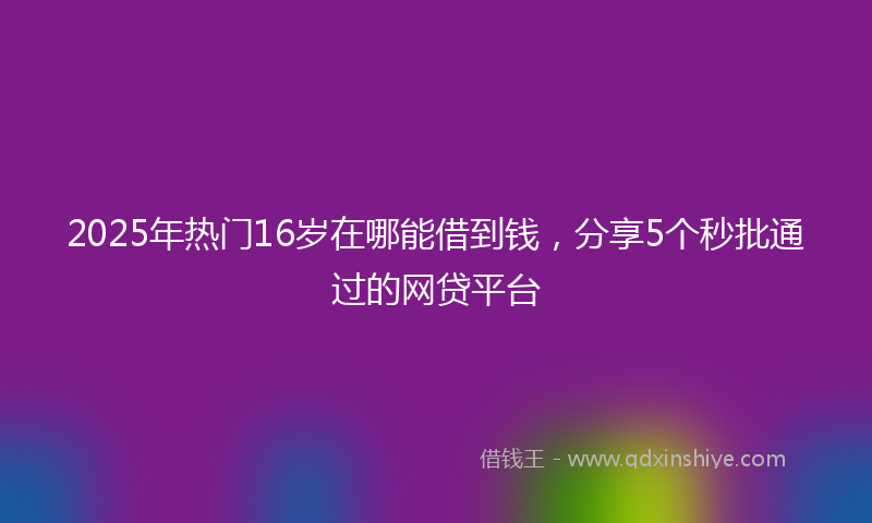 2025年热门16岁在哪能借到钱，分享5个秒批通过的网贷平台