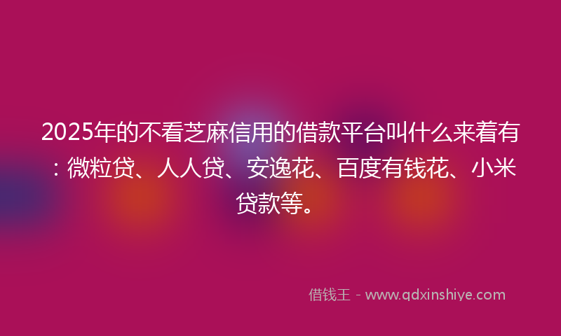 2025年的不看芝麻信用的借款平台叫什么来着有：微粒贷、人人贷、安逸花、百度有钱花、小米贷款等。