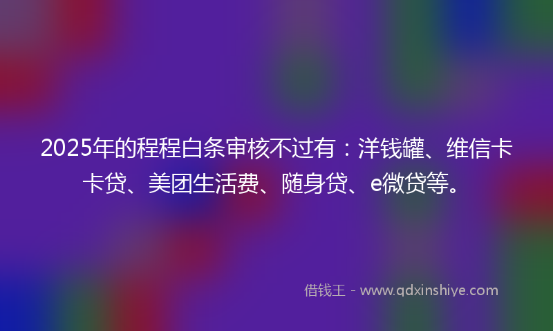 2025年的程程白条审核不过有：洋钱罐、维信卡卡贷、美团生活费、随身贷、e微贷等。