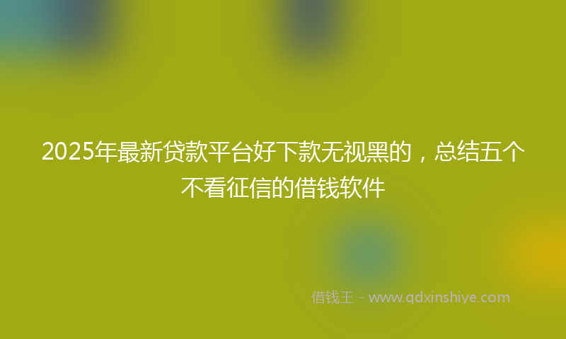 2025年最新贷款平台好下款无视黑的，总结五个不看征信的借钱软件