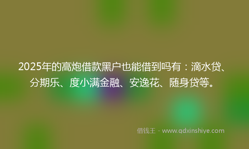 2025年的高炮借款黑户也能借到吗有：滴水贷、分期乐、度小满金融、安逸花、随身贷等。