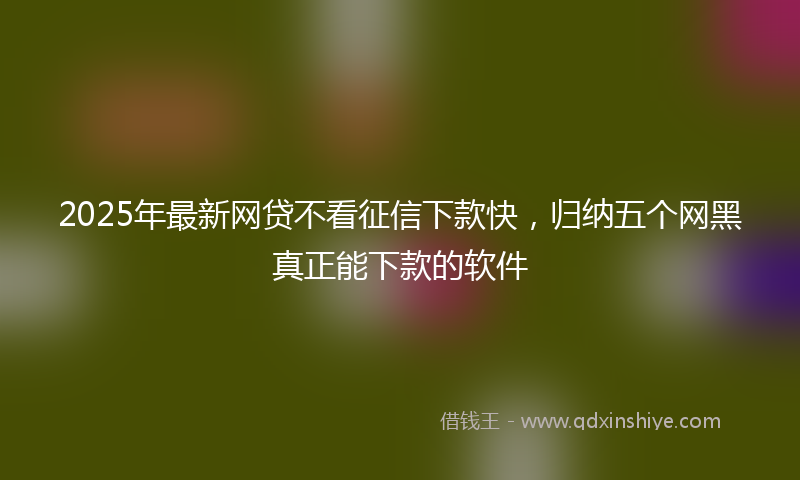 2025年最新网贷不看征信下款快，归纳五个网黑真正能下款的软件