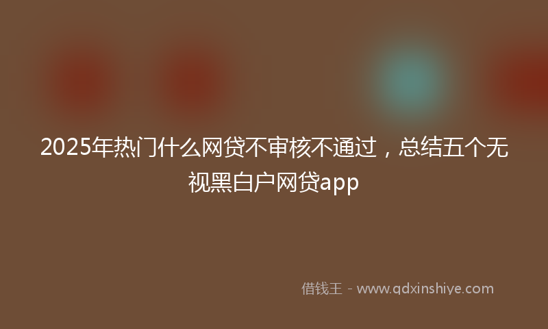 2025年热门什么网贷不审核不通过，总结五个无视黑白户网贷app