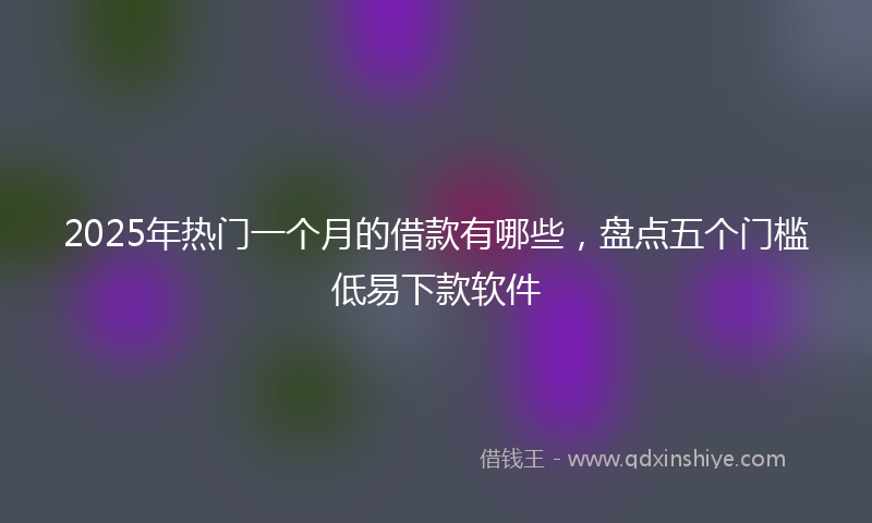 2025年热门一个月的借款有哪些，盘点五个门槛低易下款软件