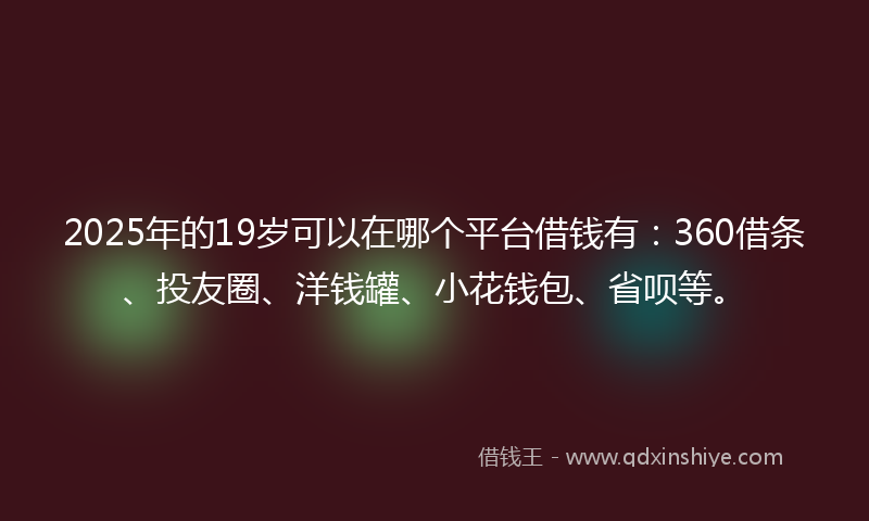 2025年的19岁可以在哪个平台借钱有：360借条、投友圈、洋钱罐、小花钱包、省呗等。