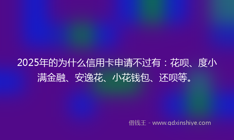 2025年的为什么信用卡申请不过有：花呗、度小满金融、安逸花、小花钱包、还呗等。