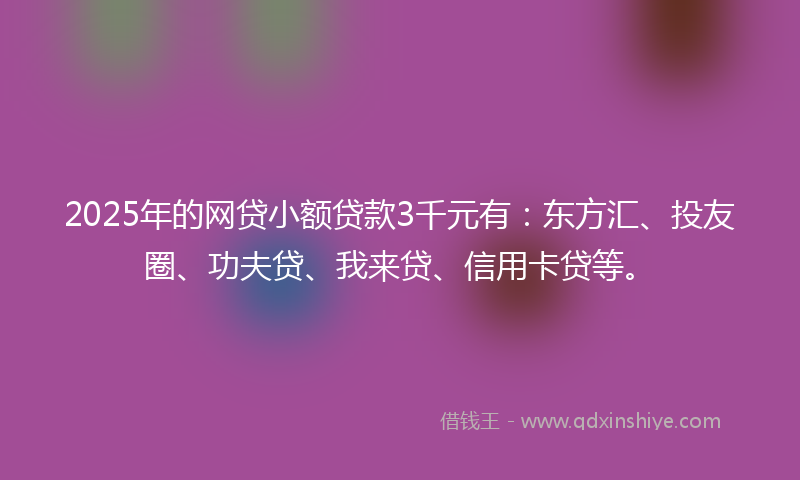 2025年的网贷小额贷款3千元有：东方汇、投友圈、功夫贷、我来贷、信用卡贷等。