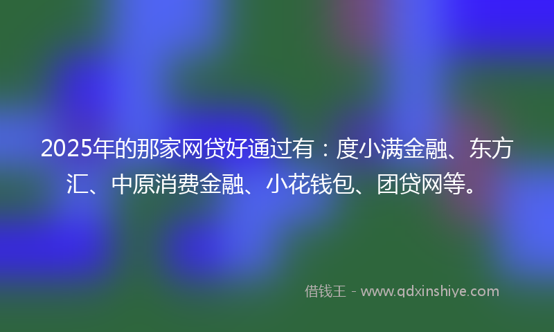 2025年的那家网贷好通过有：度小满金融、东方汇、中原消费金融、小花钱包、团贷网等。