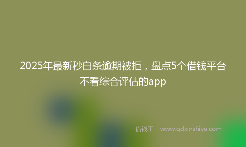 2025年最新秒白条逾期被拒，盘点5个借钱平台不看综合评估的app