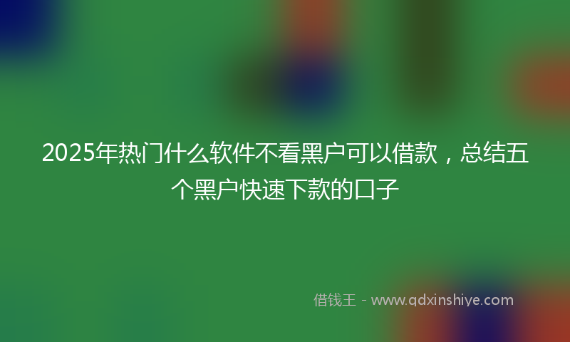 2025年热门什么软件不看黑户可以借款，总结五个黑户快速下款的口子