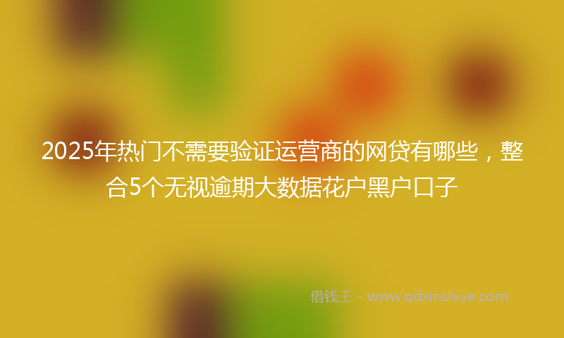 2025年热门不需要验证运营商的网贷有哪些，整合5个无视逾期大数据花户黑户口子