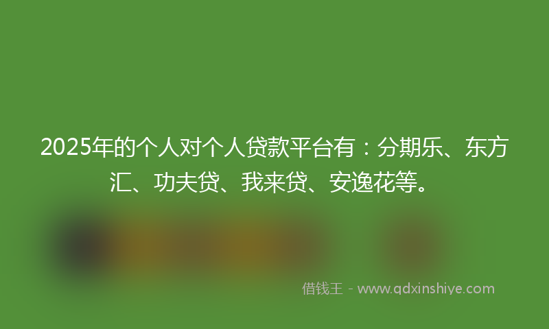 2025年的个人对个人贷款平台有：分期乐、东方汇、功夫贷、我来贷、安逸花等。