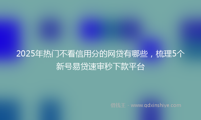 2025年热门不看信用分的网贷有哪些，梳理5个新号易贷速审秒下款平台