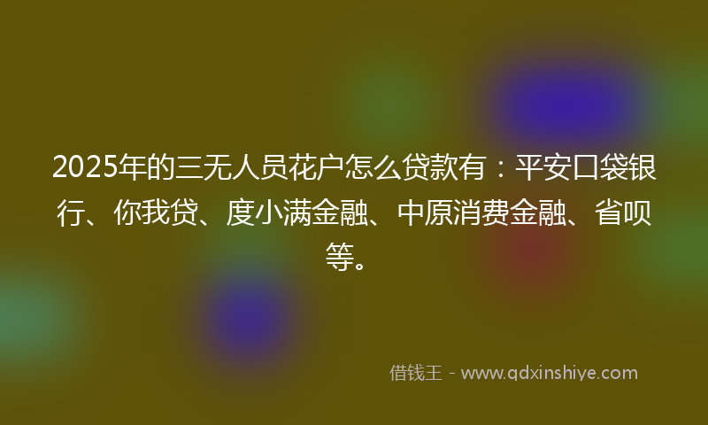 2025年的三无人员花户怎么贷款有：平安口袋银行、你我贷、度小满金融、中原消费金融、省呗等。