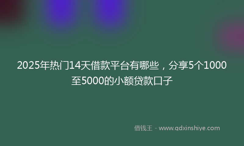 2025年热门14天借款平台有哪些，分享5个1000至5000的小额贷款口子
