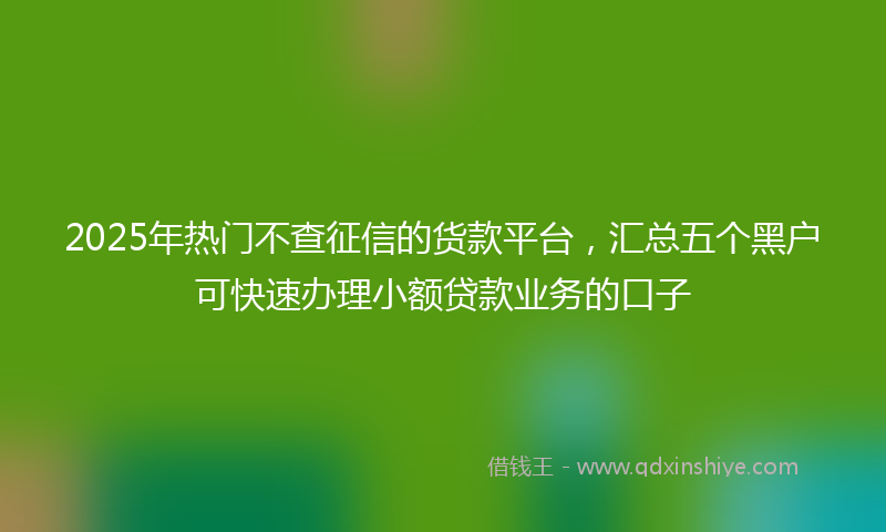 2025年热门不查征信的货款平台，汇总五个黑户可快速办理小额贷款业务的口子