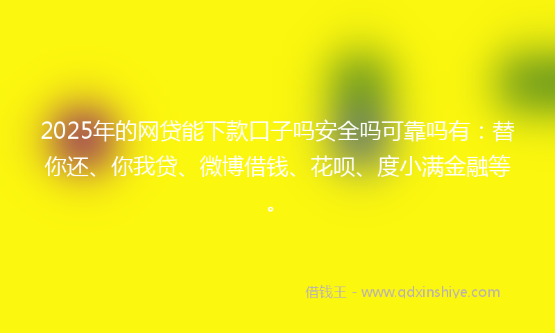 2025年的网贷能下款口子吗安全吗可靠吗有：替你还、你我贷、微博借钱、花呗、度小满金融等。