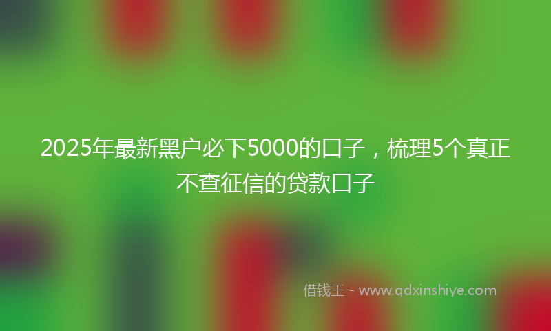 2025年最新黑户必下5000的口子，梳理5个真正不查征信的贷款口子