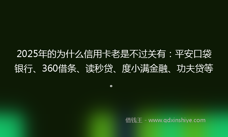 2025年的为什么信用卡老是不过关有：平安口袋银行、360借条、读秒贷、度小满金融、功夫贷等。