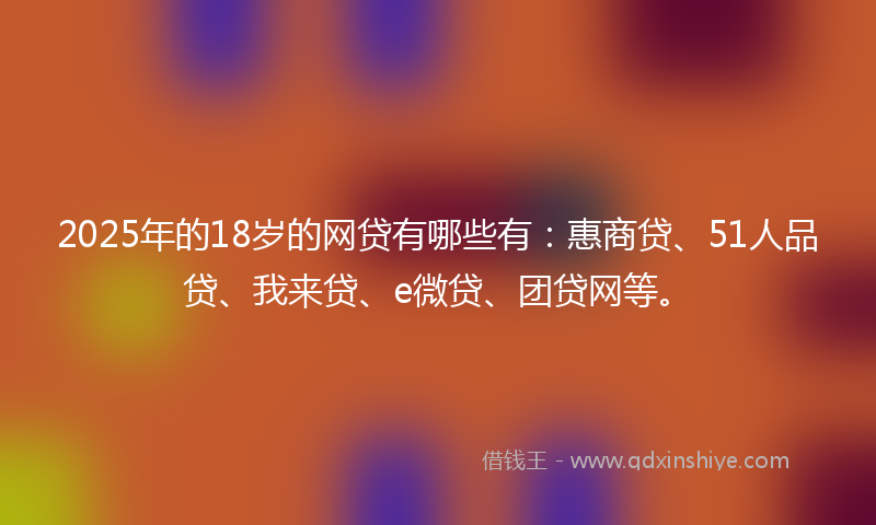 2025年的18岁的网贷有哪些有：惠商贷、51人品贷、我来贷、e微贷、团贷网等。