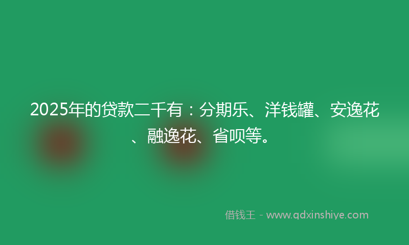 2025年的贷款二千有：分期乐、洋钱罐、安逸花、融逸花、省呗等。